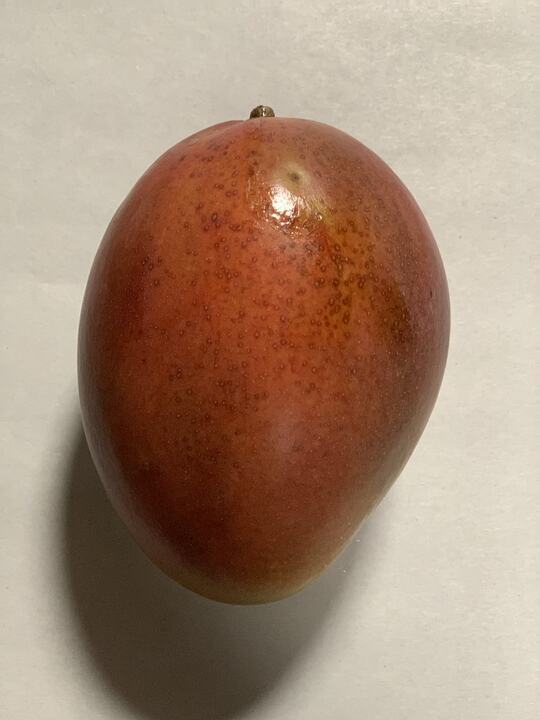 Osteen mango reference