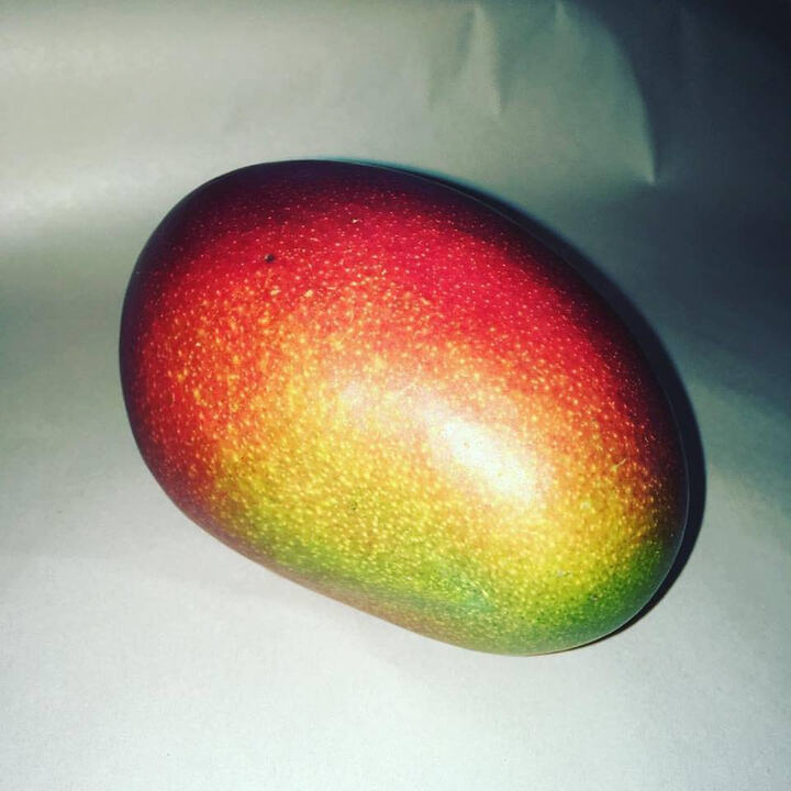 Palmer mango reference