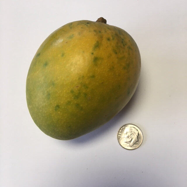 Peach mango reference