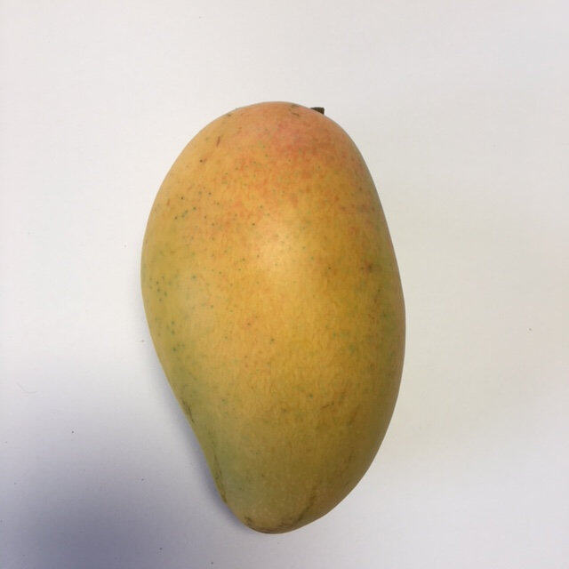 Philippine (Carabao) mango reference