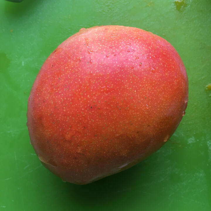 Phoenix mango reference