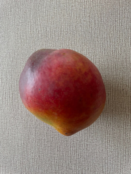 Pillsbury mango reference