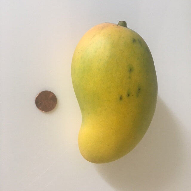 Pim Sen Mun mango reference