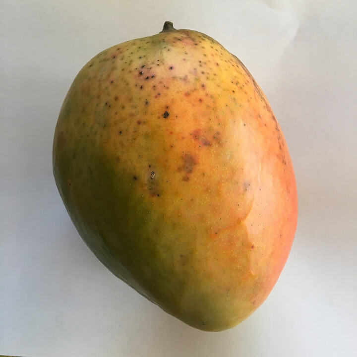 Pineapple Pleasure mango reference