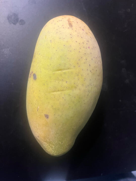 Pohn Sawadee mango reference