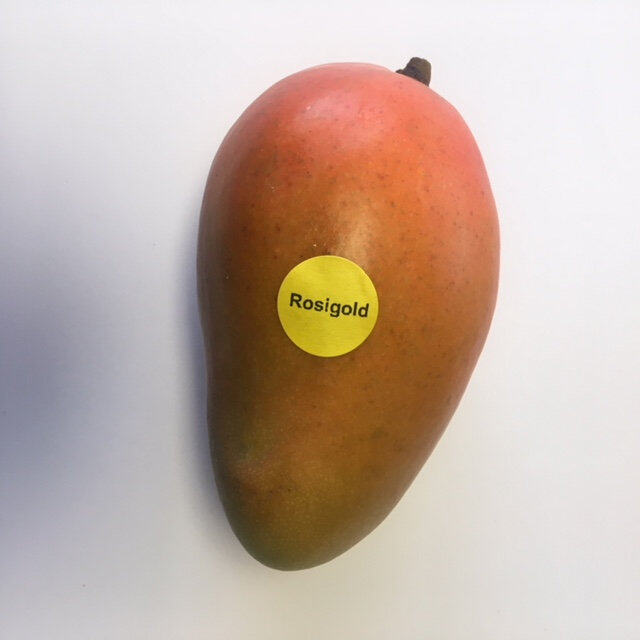 Rosigold mango reference