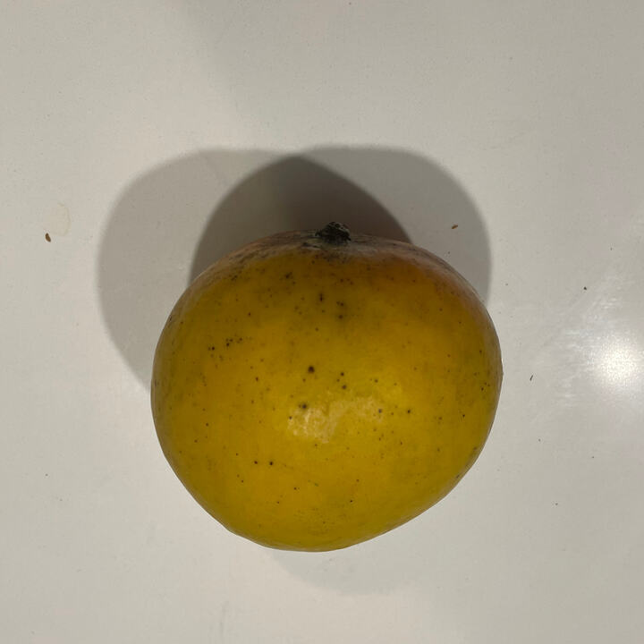 Royal Special/Punasa mango reference