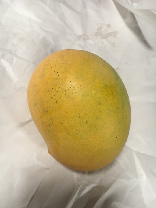 Sein Ta Lone/Guava mango reference