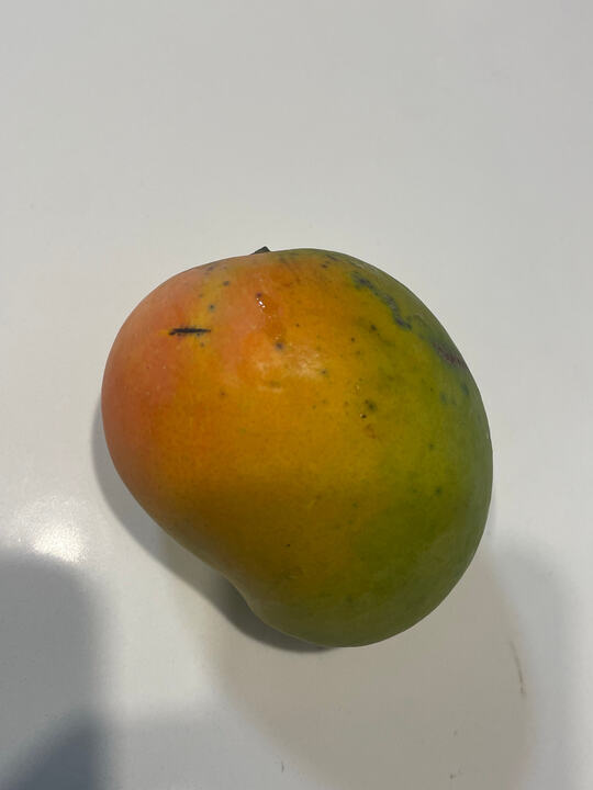 Shamsul Asamar mango reference