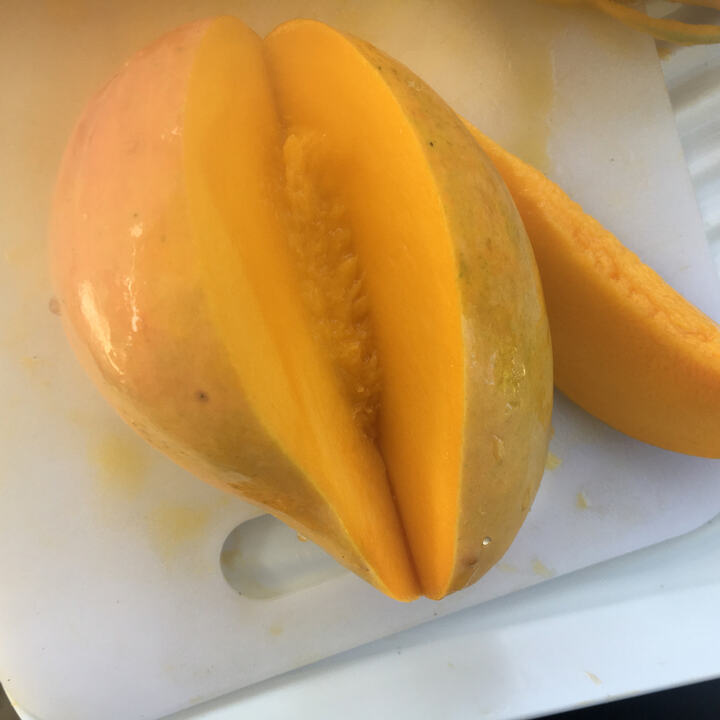 Shwe Ya Za Ma mango reference