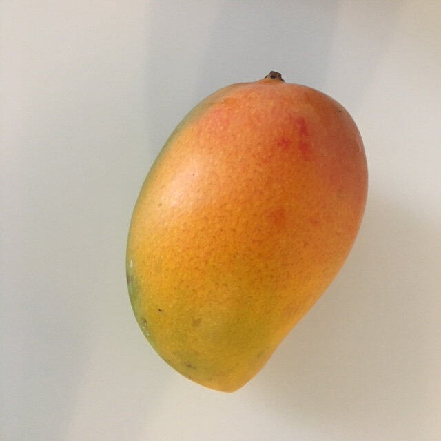 Simmonds mango reference