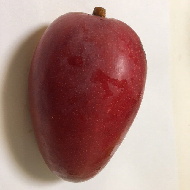 Smith (Hawaii) mango reference