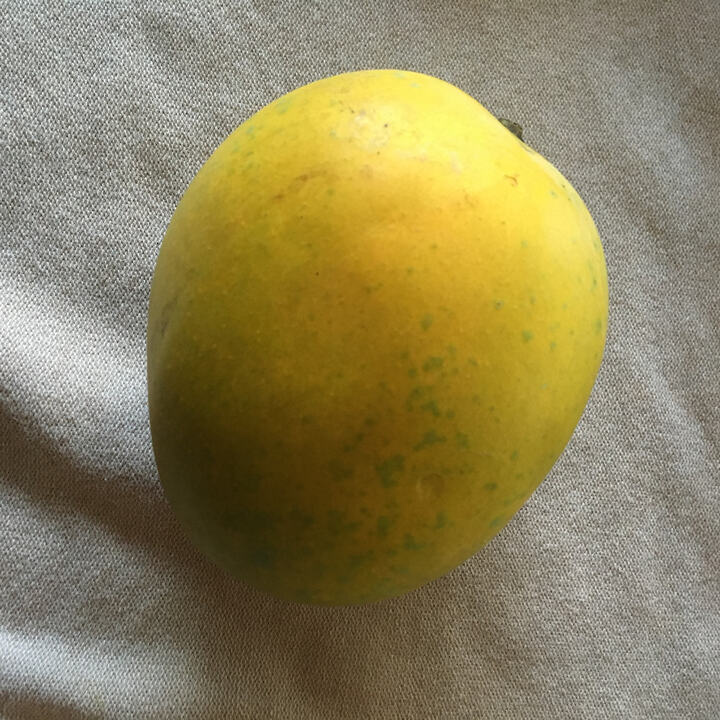 Sonpari mango reference