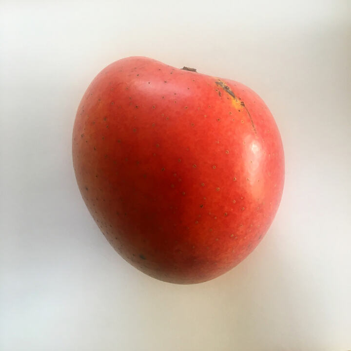 ST Maui mango reference
