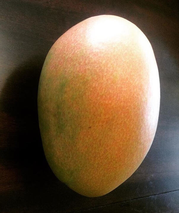 Sturrock mango reference