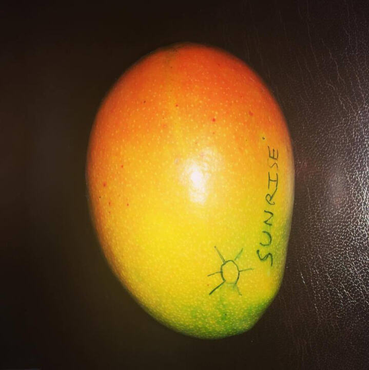 Sunrise mango reference
