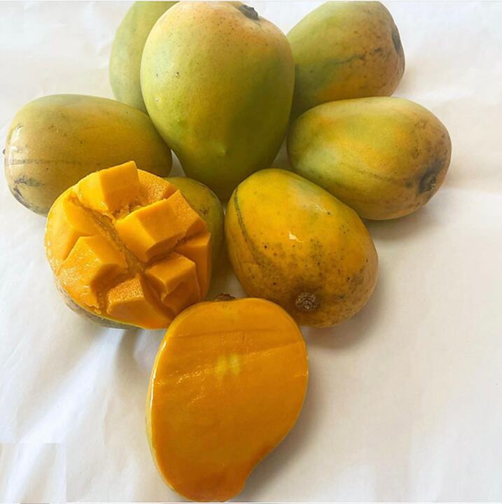 Sweet Tart mango reference