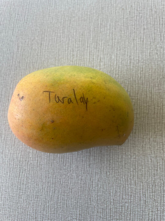 Taralay mango reference
