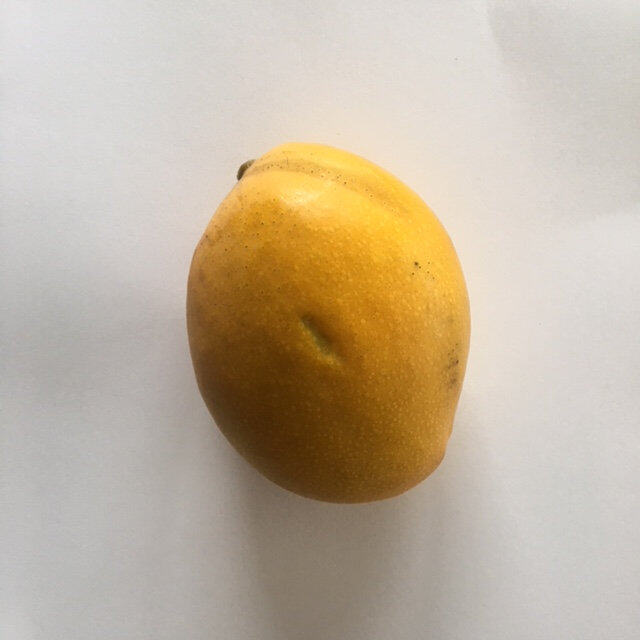 Tess Pollock mango reference