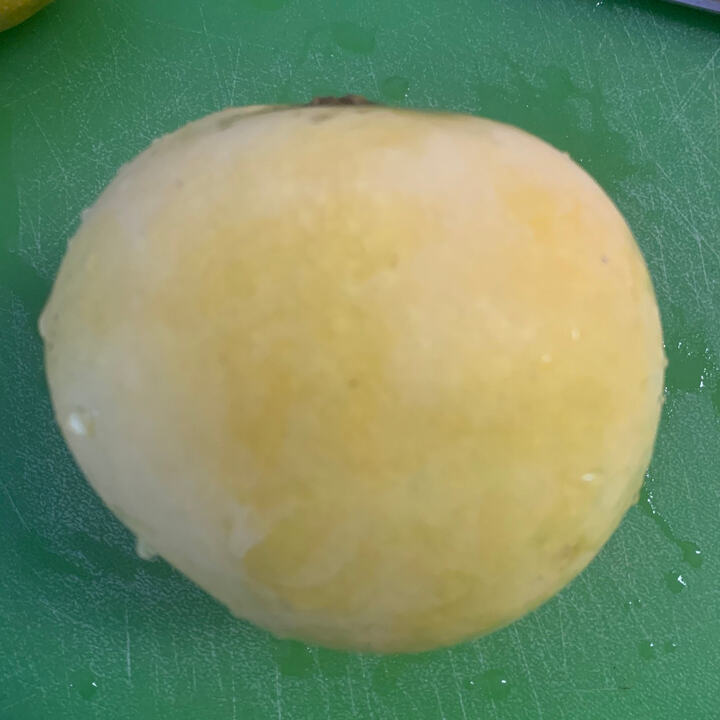 Tyler Premier mango reference