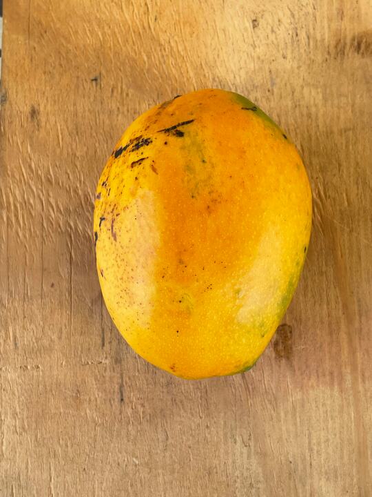 Ugly Betty mango reference
