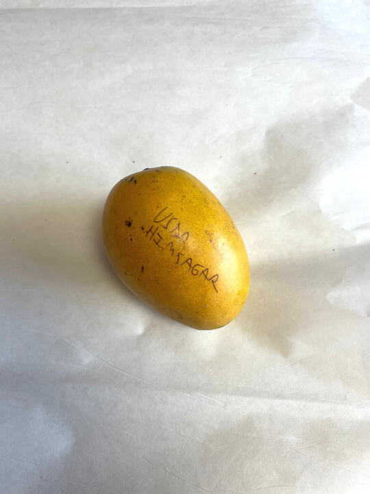 USDA Himsagar mango reference