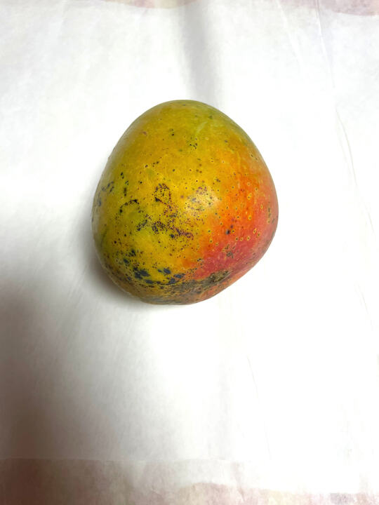 USDA Langra Benarasi mango reference