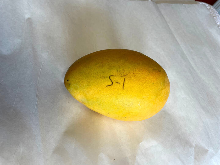 USDA S-1 mango reference