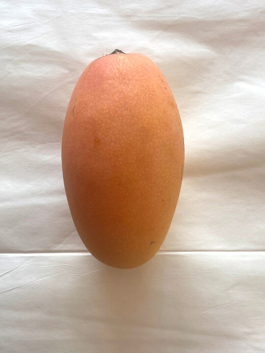 USDA S-10 mango reference