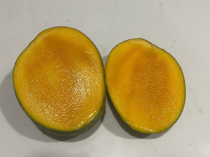 Van Raj mango reference