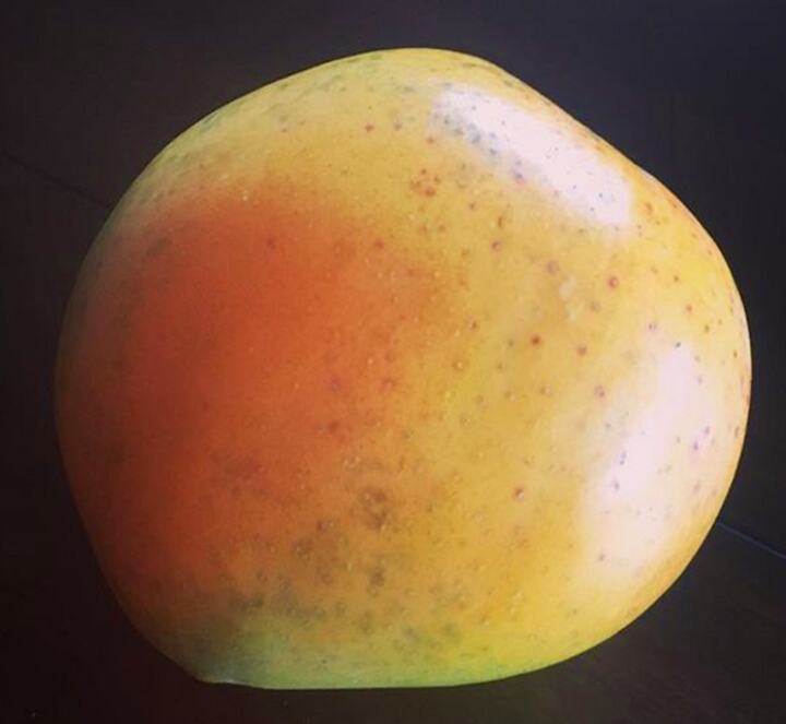 White Piri mango reference