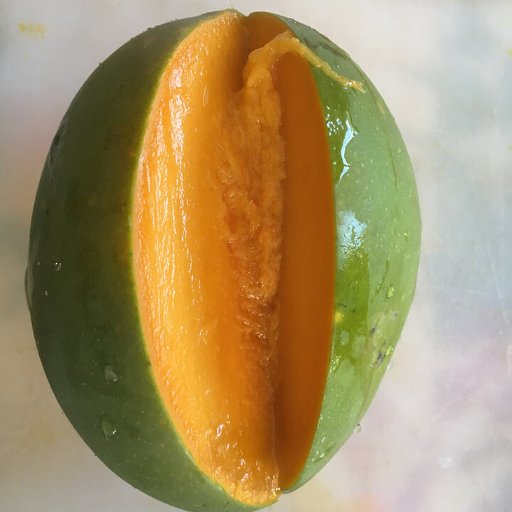 Zebda mango reference