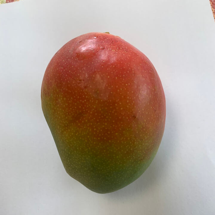 Zill O-15 mango reference