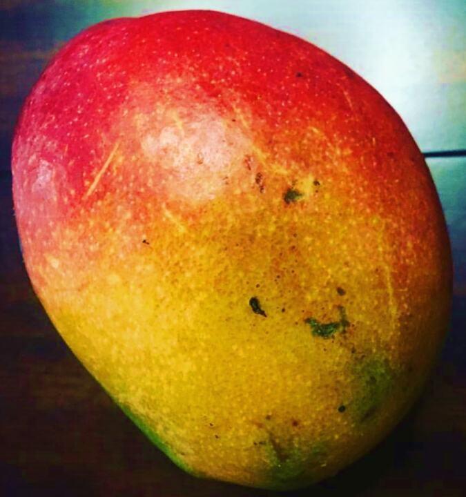 Zill mango reference