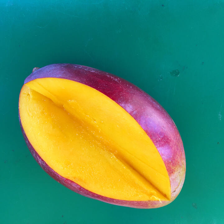 Zillate mango reference